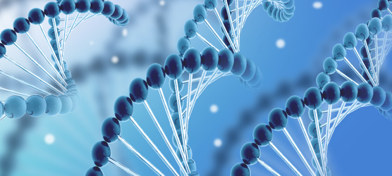 ladbrokes立博(英国)官方网站-中文版本